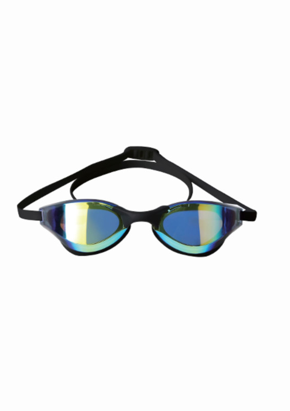 Curved tinted Goggles